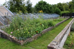 08b-19-wandelingGooilust-Jagtlust_moestuin