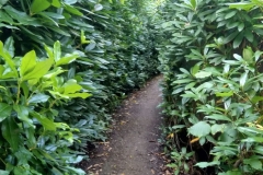 10-Land-en-Bosch_fotoGvdSijde_1800