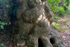 13-Hilverbeek_fotoGvdSijde_1800