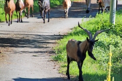 16-054_LMgeiten_b1600_fotoGvdS