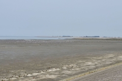 06-WieringenWest-VogelsNormerven_1800_fotoGvdS