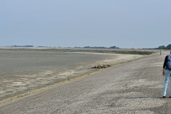 07-WieringenWest-VogelsNormerven_1800_fotoGvdS